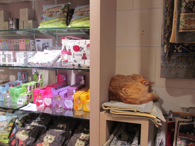This cat was in charge of the gift shop at Chennanceau Chateau. Notice the cat towels on one of the shelves.