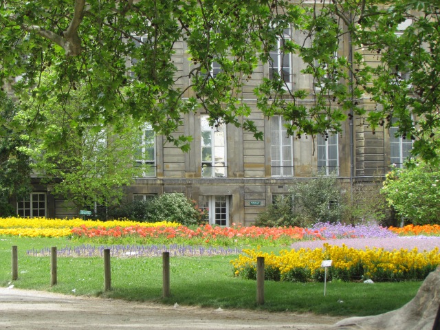 Flowers near one of the other museums.
